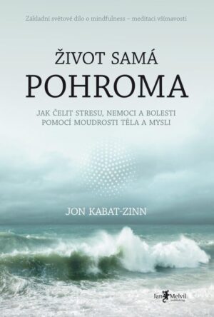 Náhled knihy Život samá pohroma